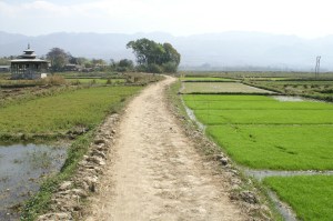 KONICA MINOLTA DIGITAL CAMERA