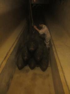 Ammunition dump, Fort Rinella, Malta.