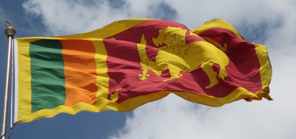 Cricket craziness and winding down –&nbsp;SL#46.